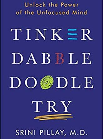 Tinker Dabble Doodle Try book cover