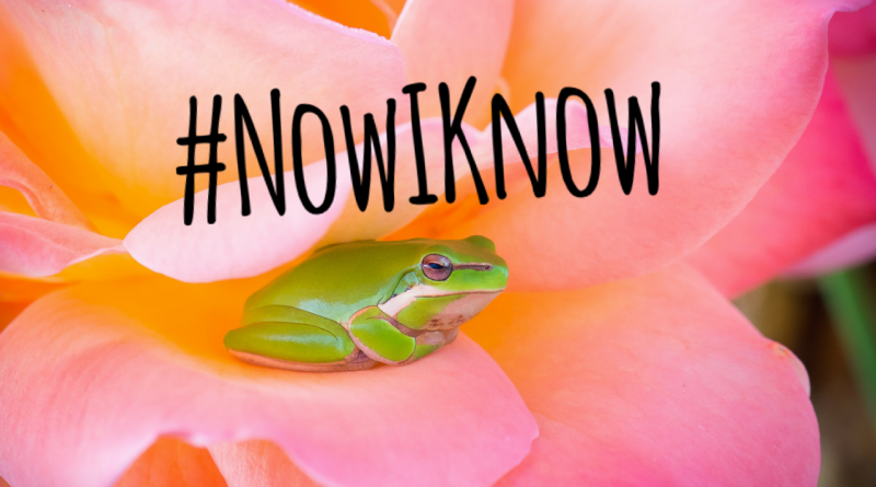 #NowIKnow